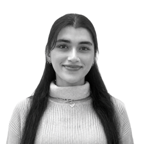 Team Profile